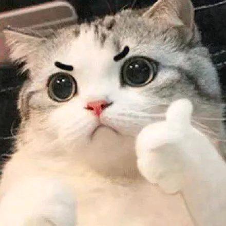 就爱摆烂
