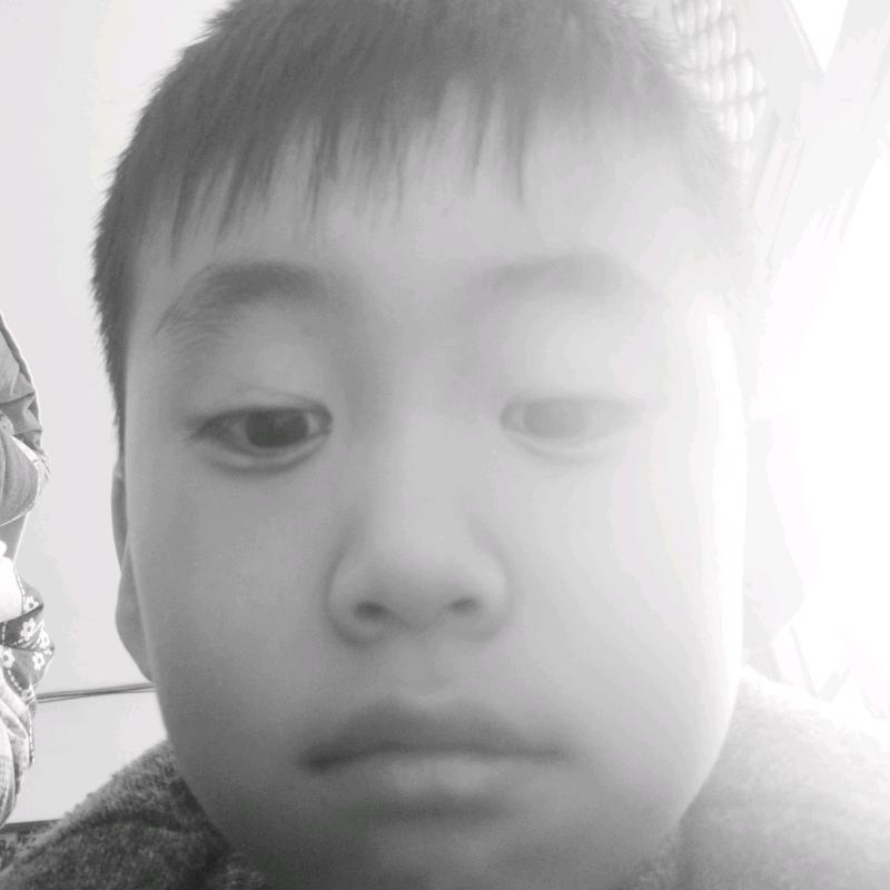 温智宇