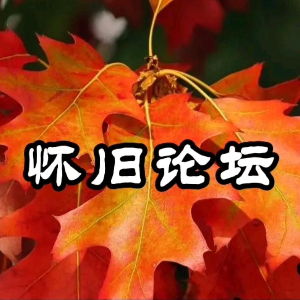 怀旧论坛