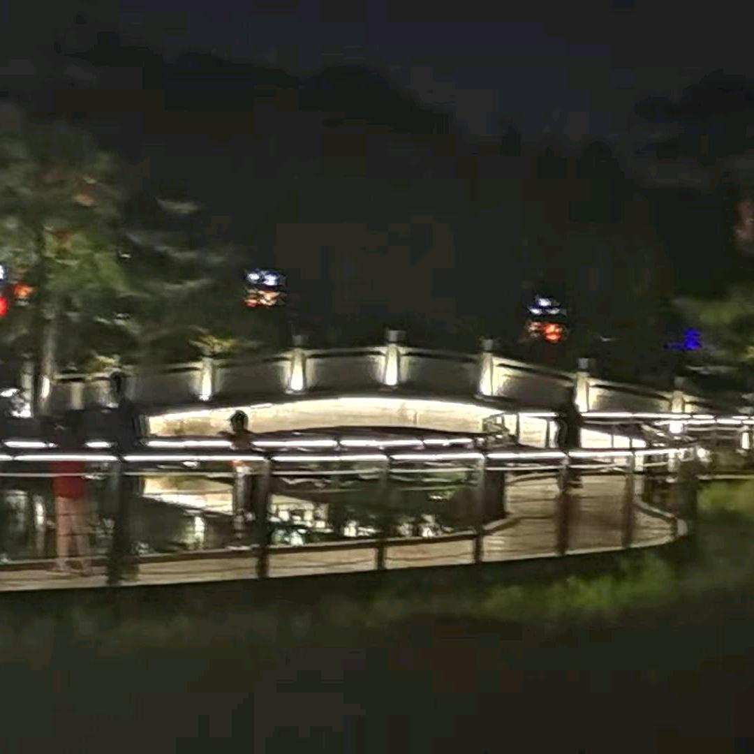 河南赵姐