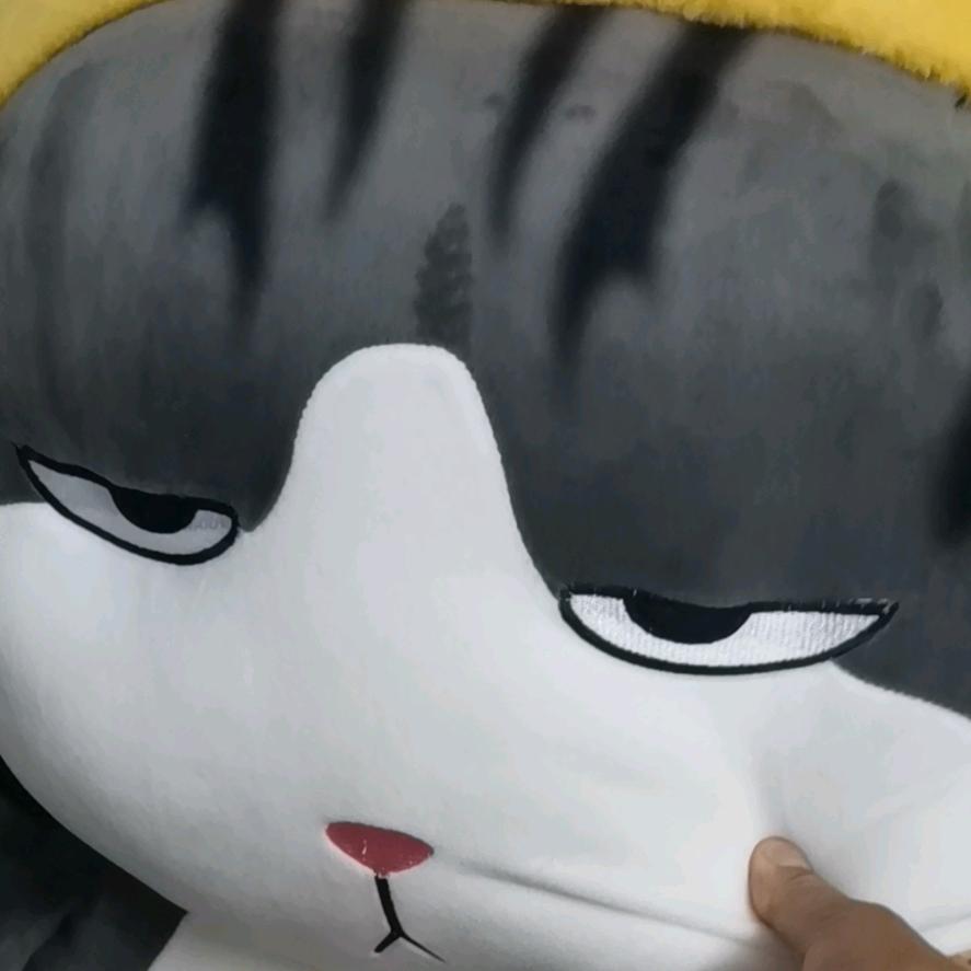 见见