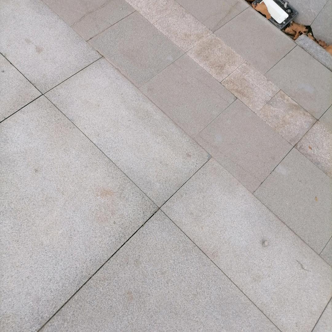 白杨
