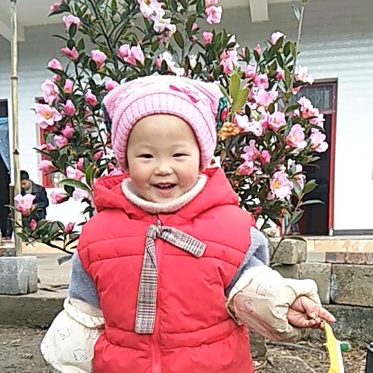 家和万事兴（＾ω＾）