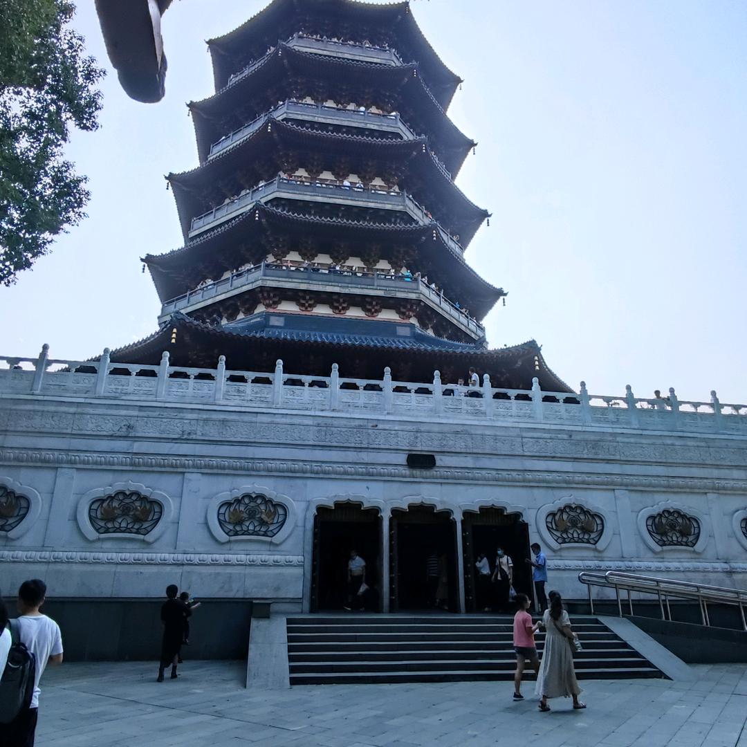 沪飘