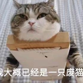 小熊韦尼