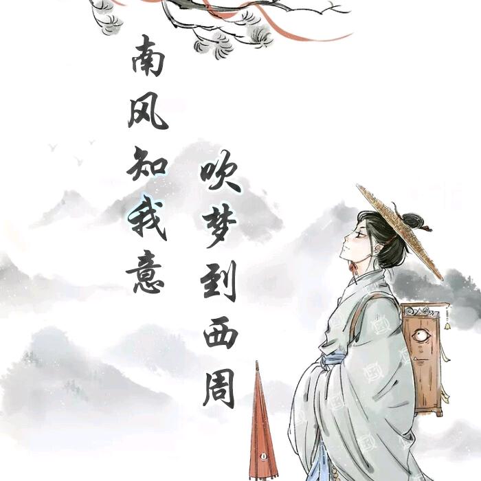 张小🐟