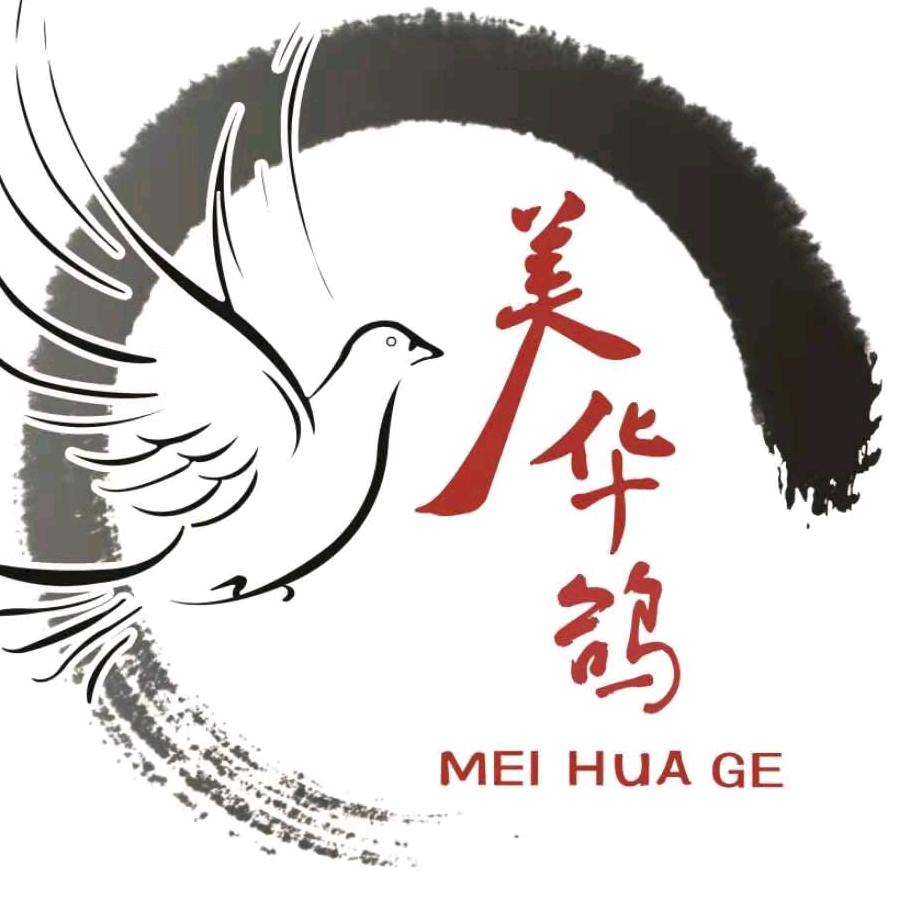美华鸽