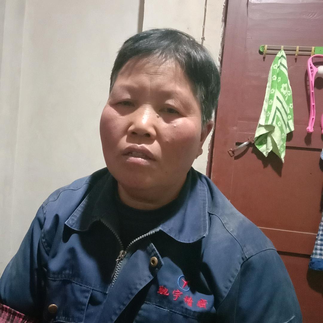 宋启会