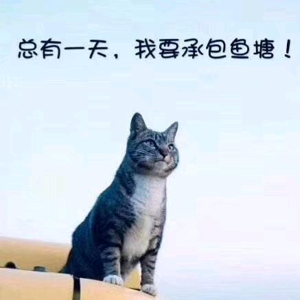 小時光