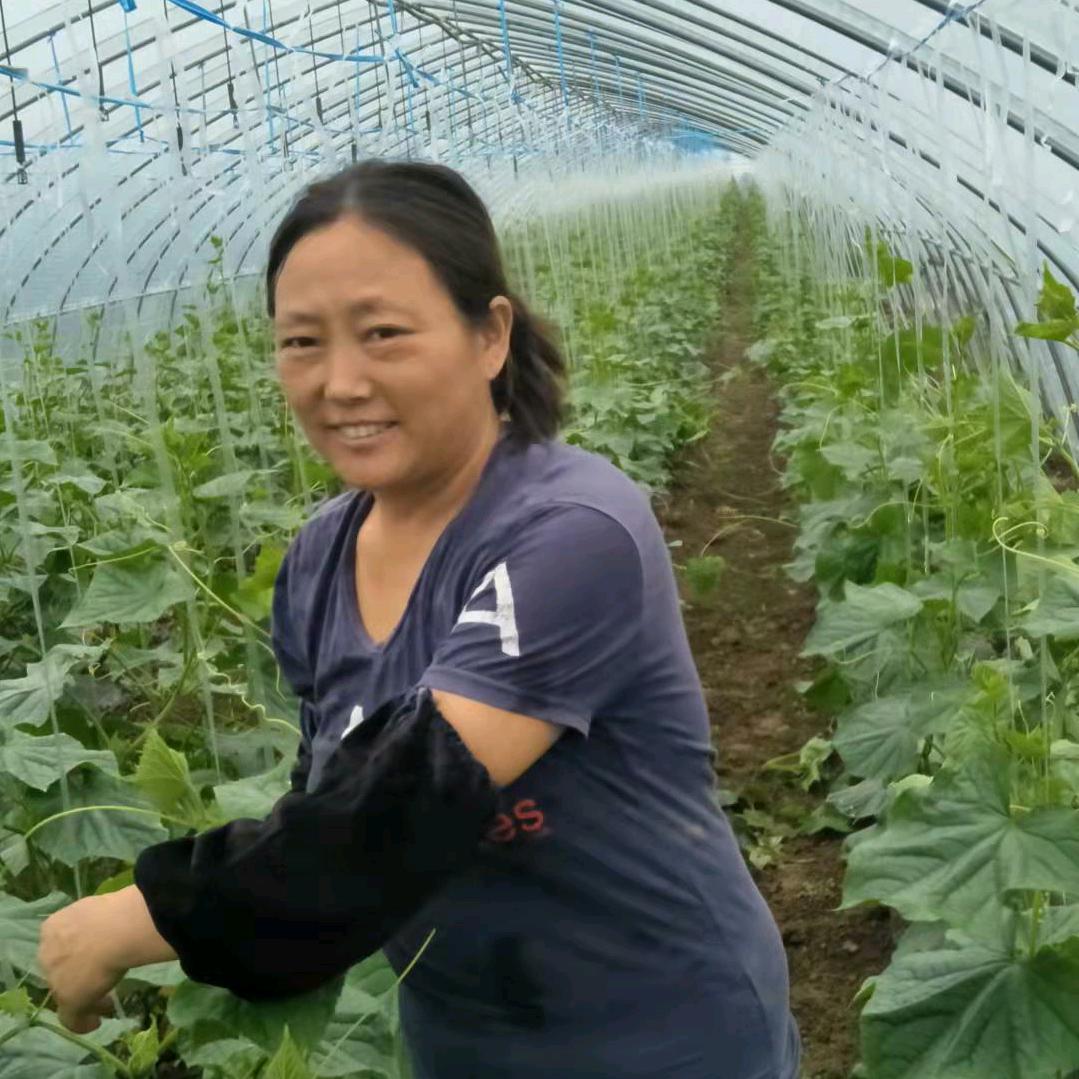 大棚姐.