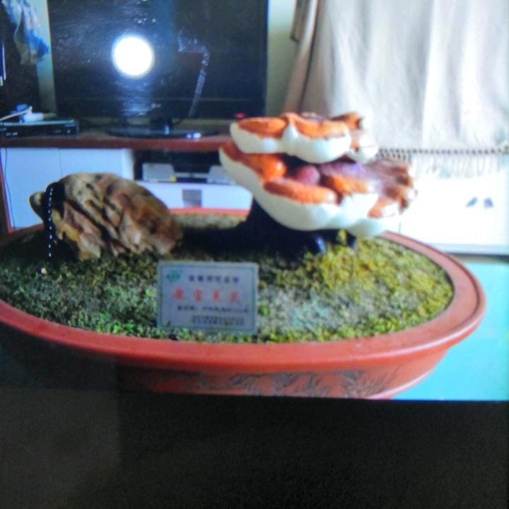 文明有福