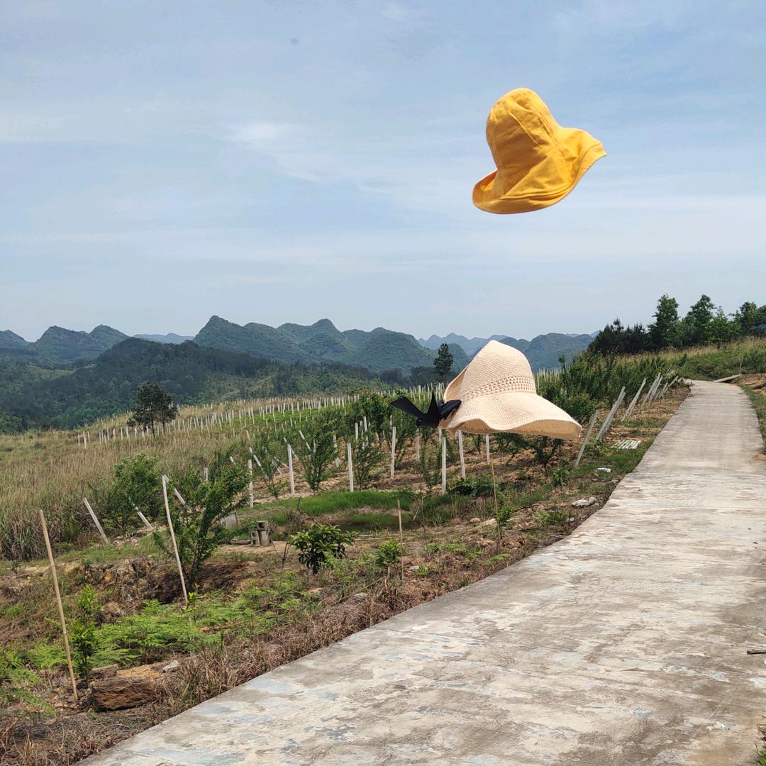 沙拉河这片土地