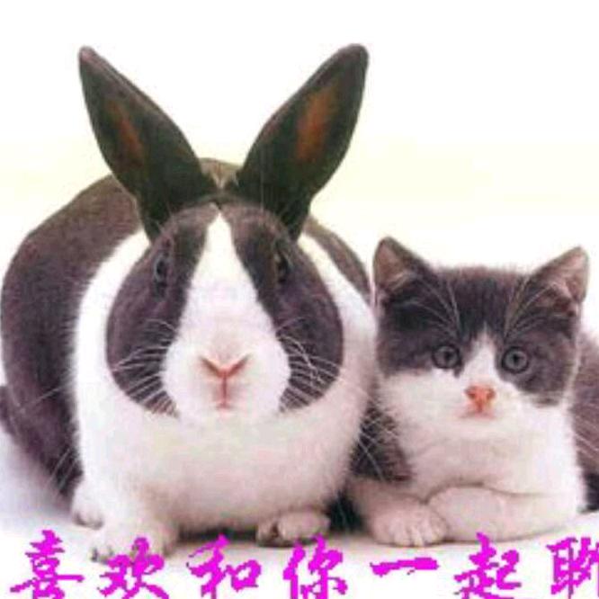 平凡的人生