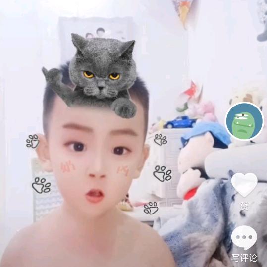 爱吃熏猪手的张鹏头像