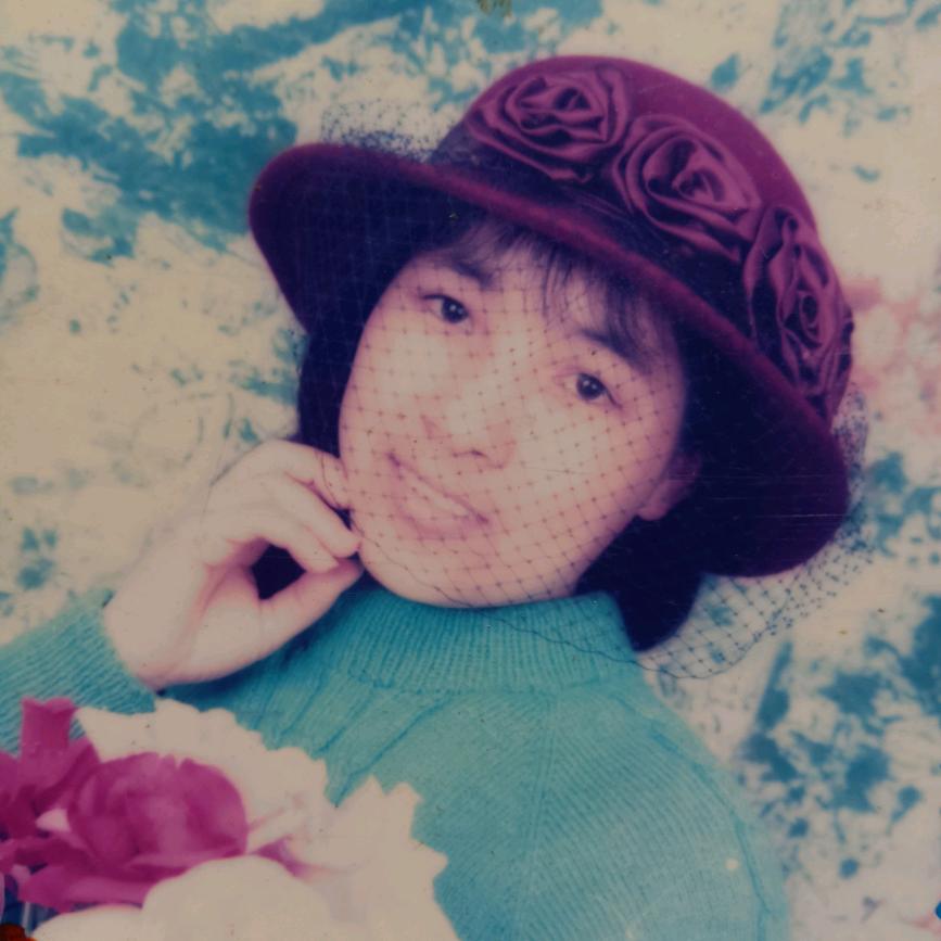 菊花飘香