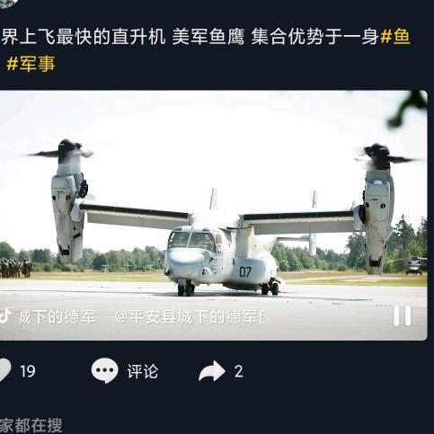 鱼鹰