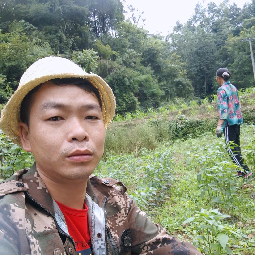 农村草根哥