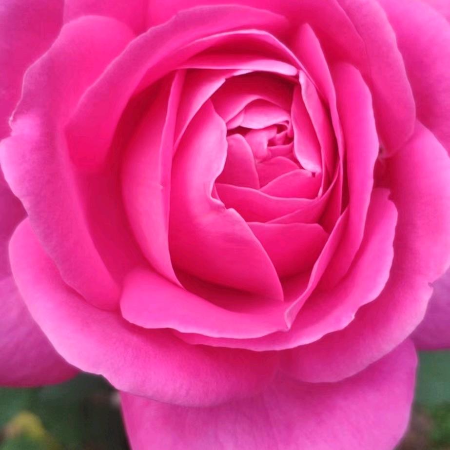 眉眉好物推荐(视屏同款在橱窗)