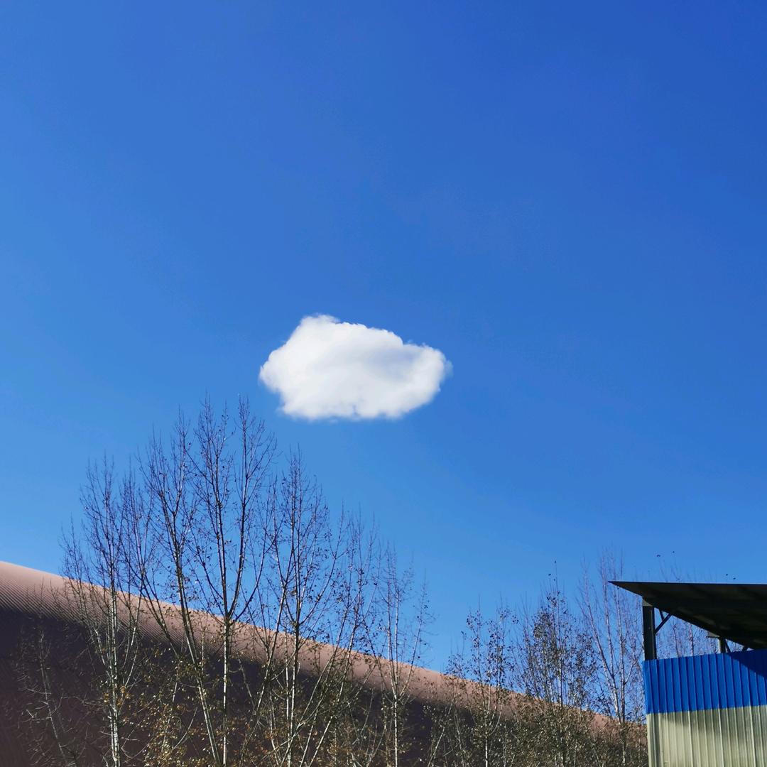 仁。行