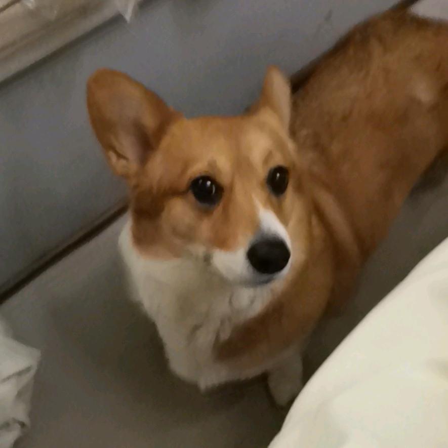 【阳阳】