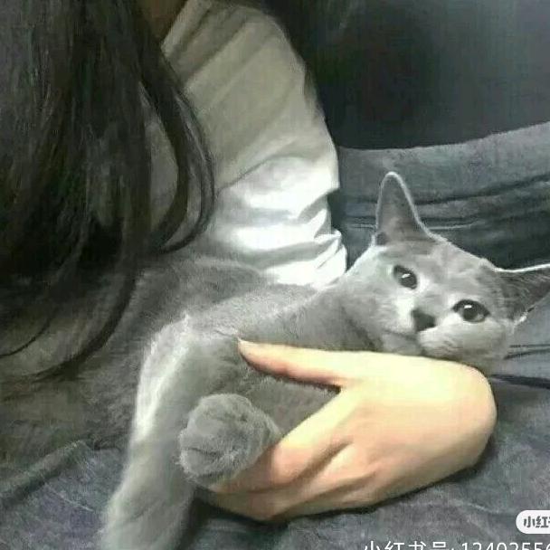 老曹