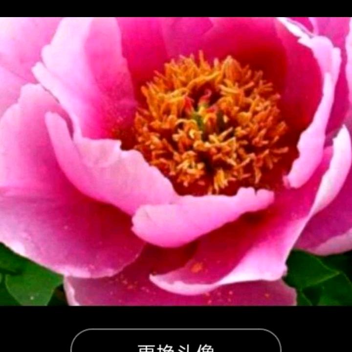 家和万事兴