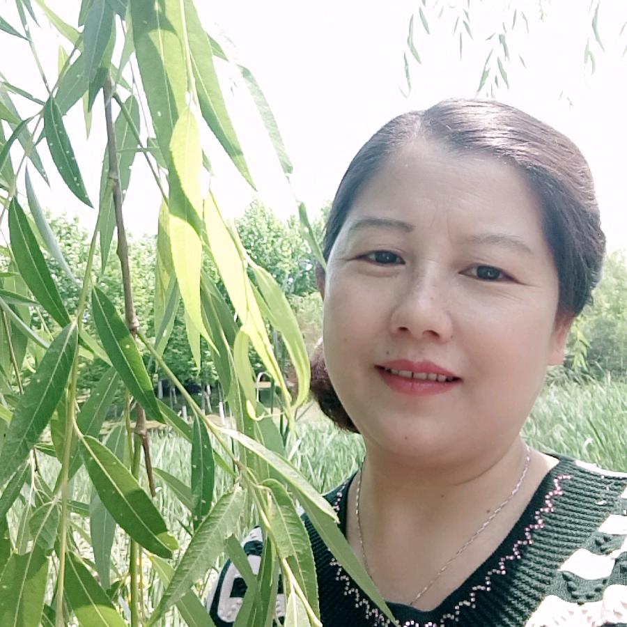 黄豆