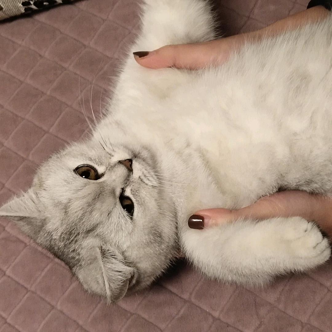 妈呀，名字都不知道咋起了