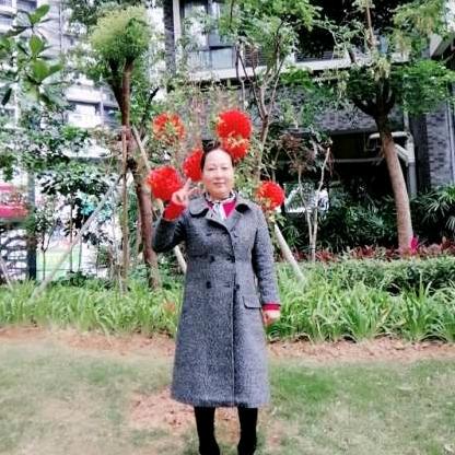 罗小罗