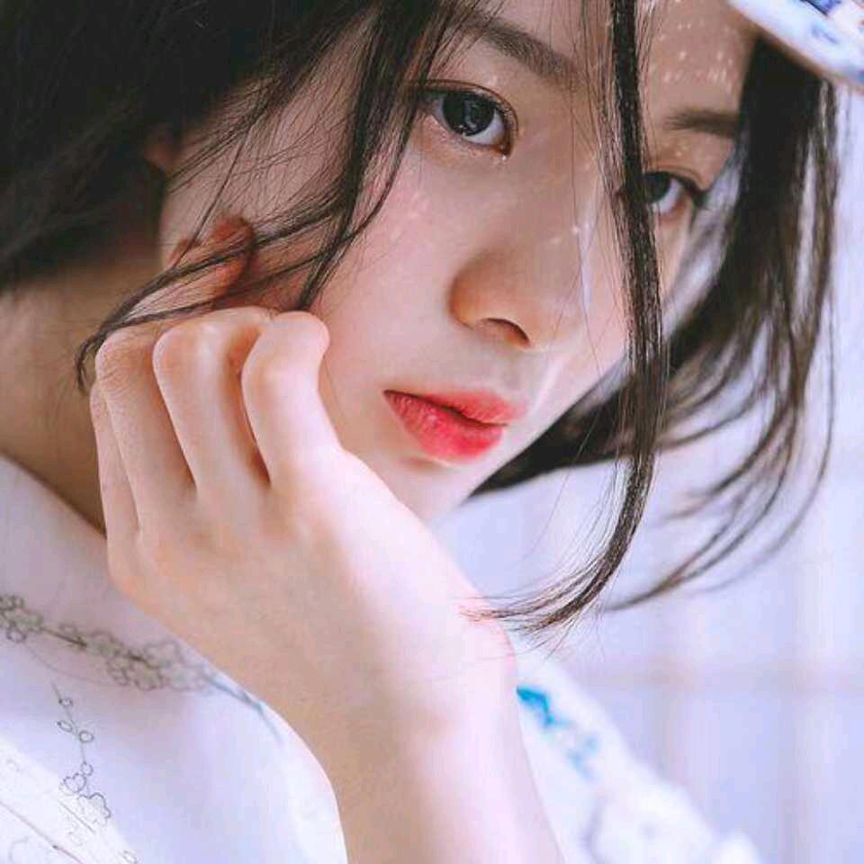 🐬彼岸花