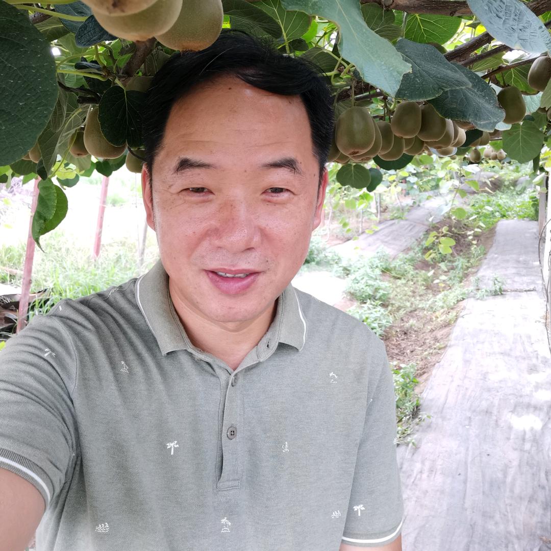 茅社长农产品公社
