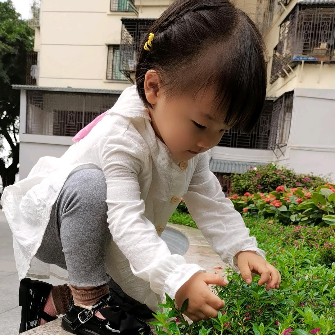 澜澜🐷