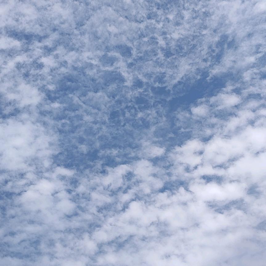 临泉县专业拆除  砸墙  铲大白