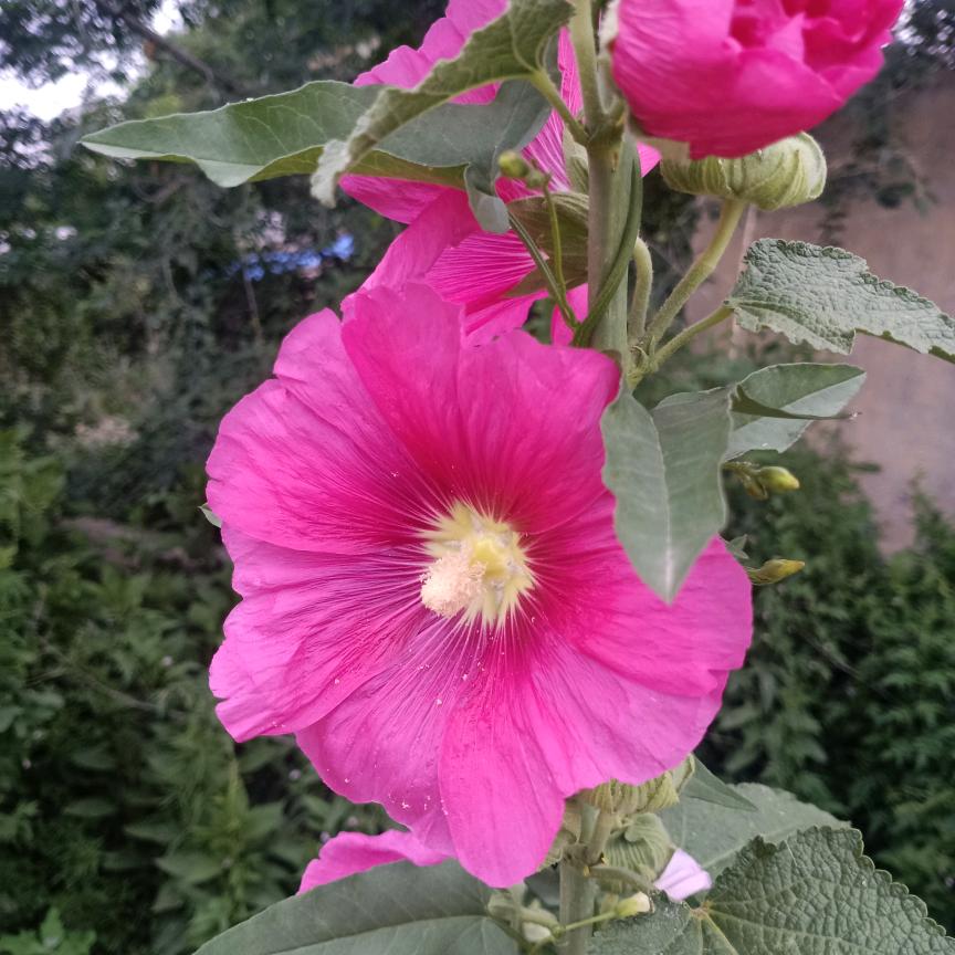 余生过好美一天