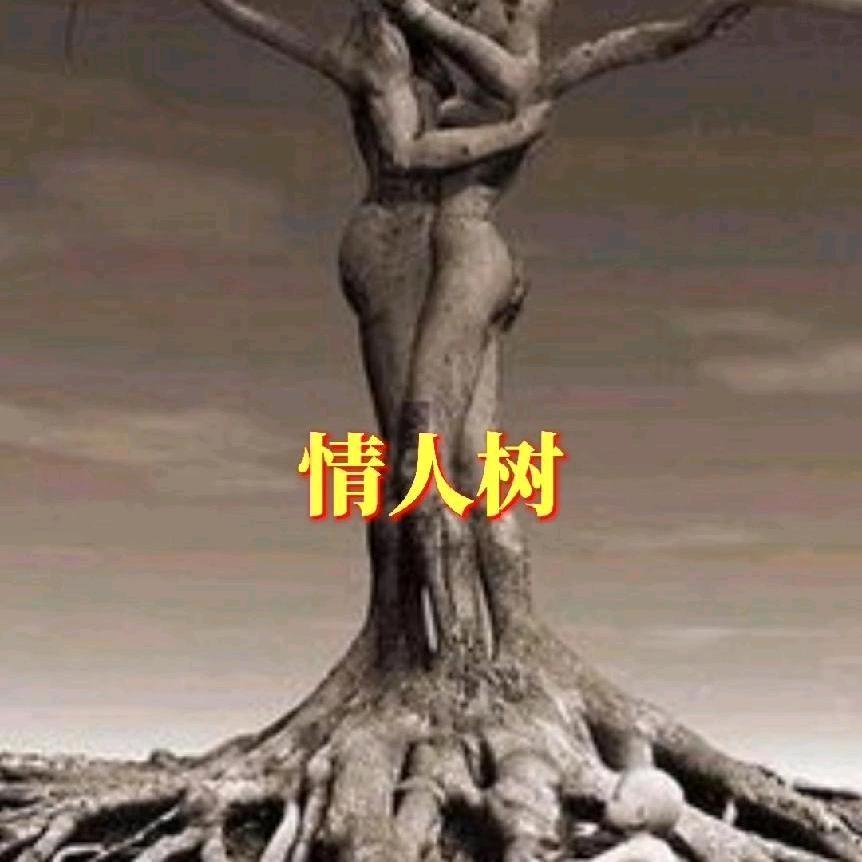 随缘
