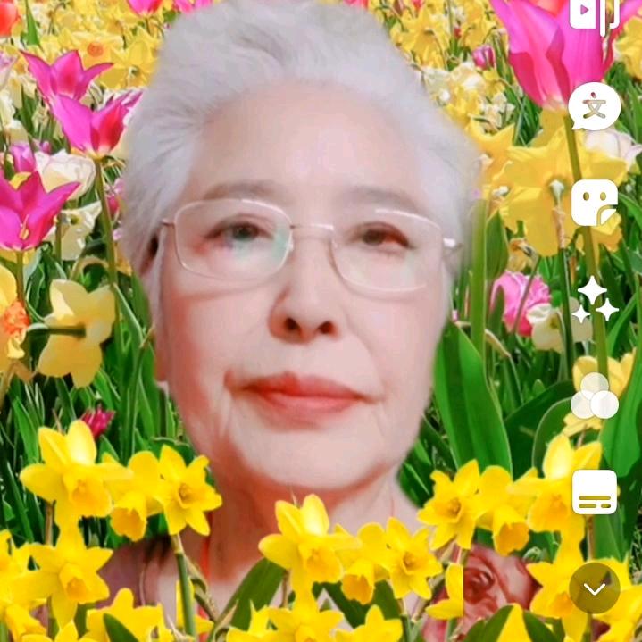 枫华叶蘭