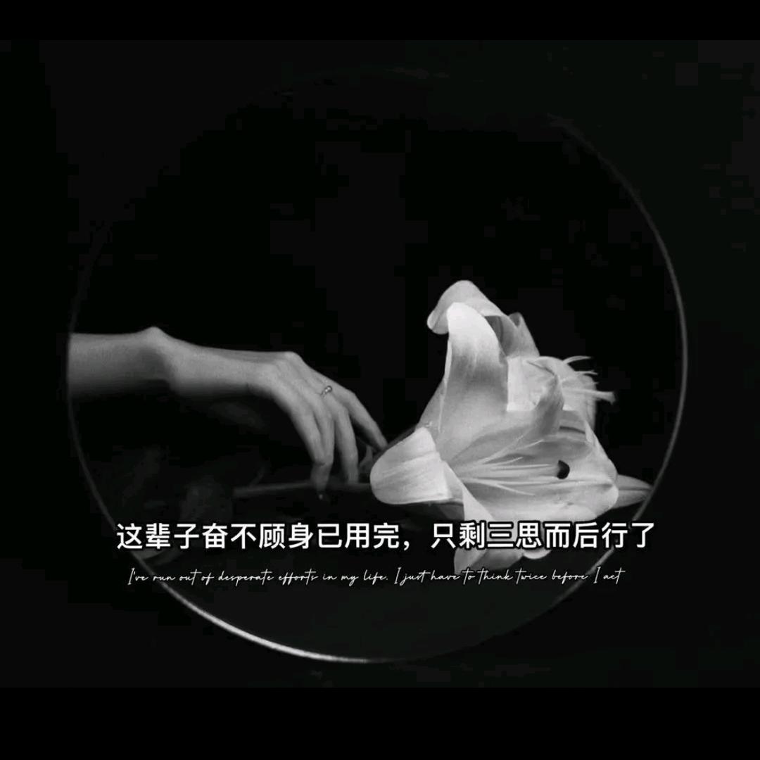 思念如絮