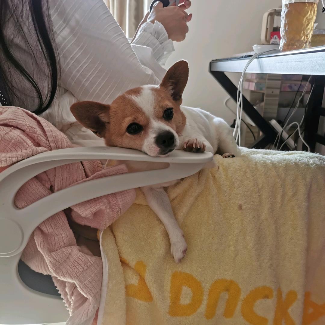 阳光开朗大马男