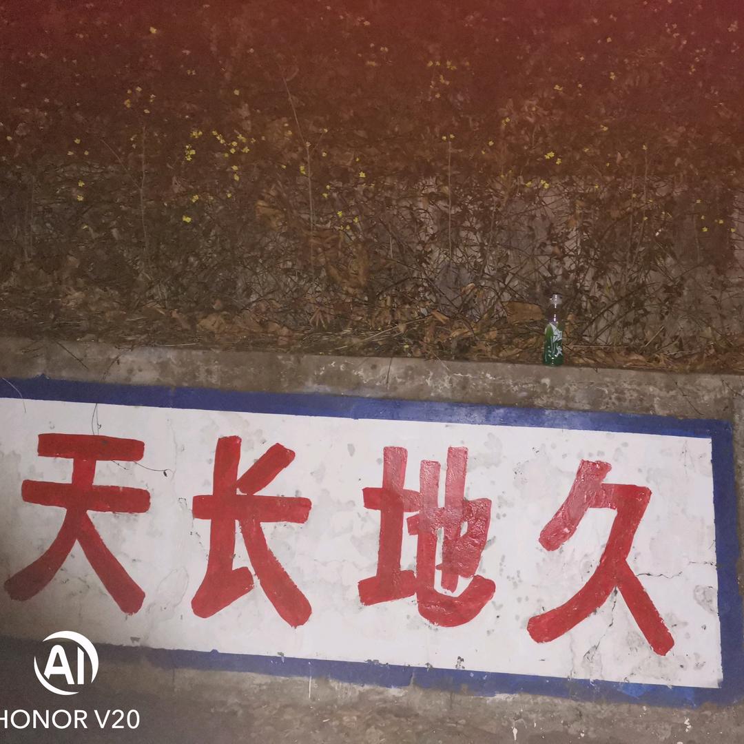 一个小角落的我