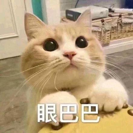 小提莫