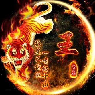 安康市汉滨区永顺搬家服务有限公司