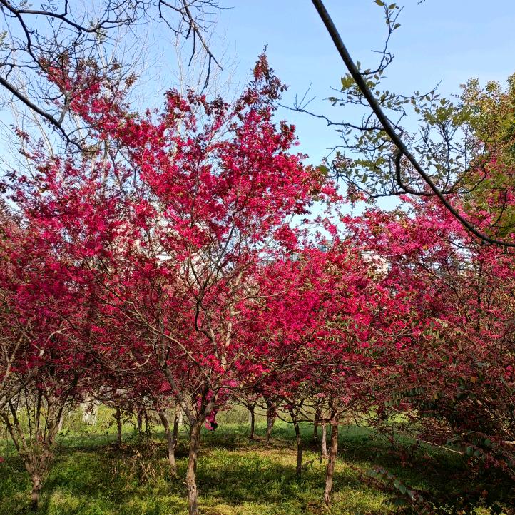 南京市江宁区超级玩家电玩游戏中心