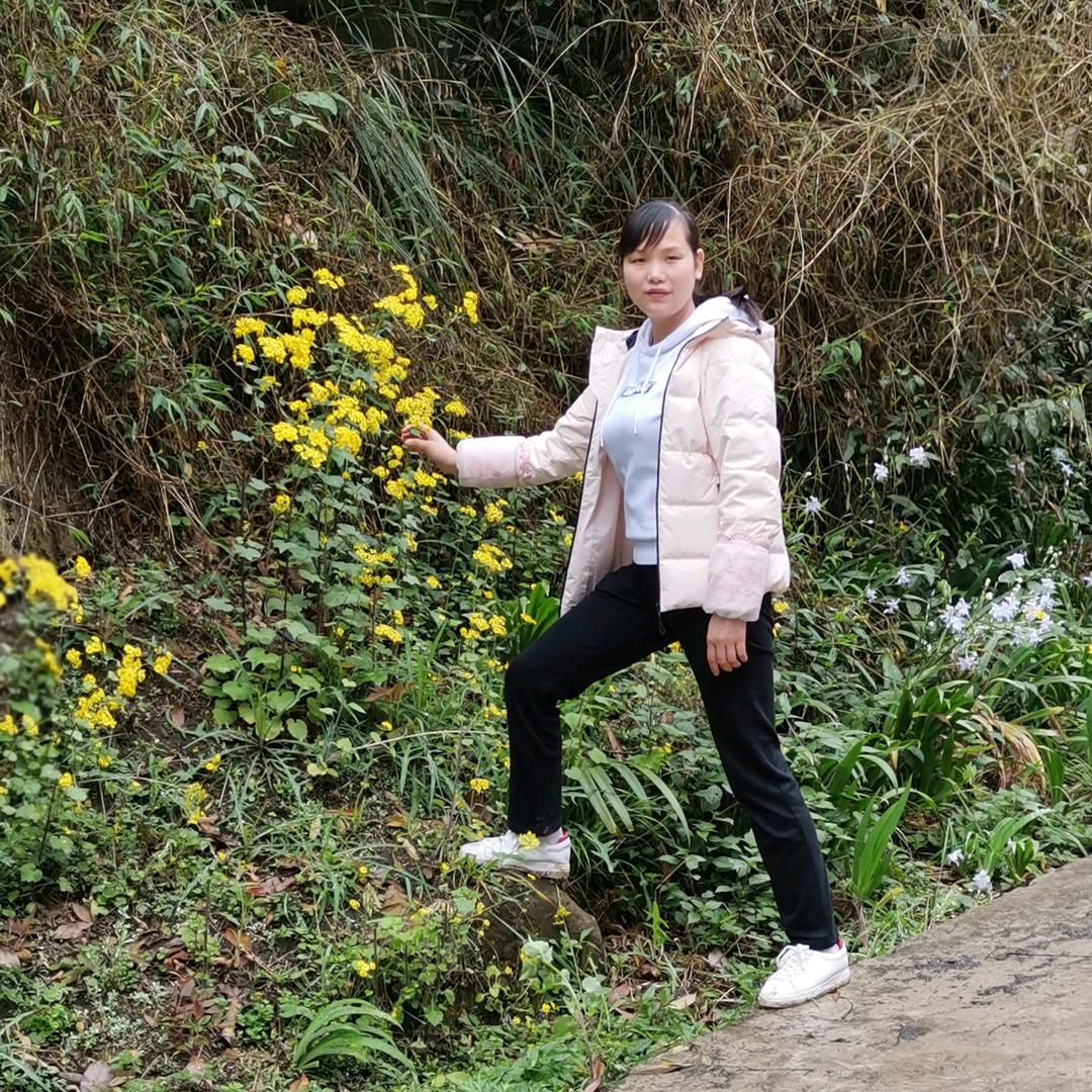 醉卧云中玥