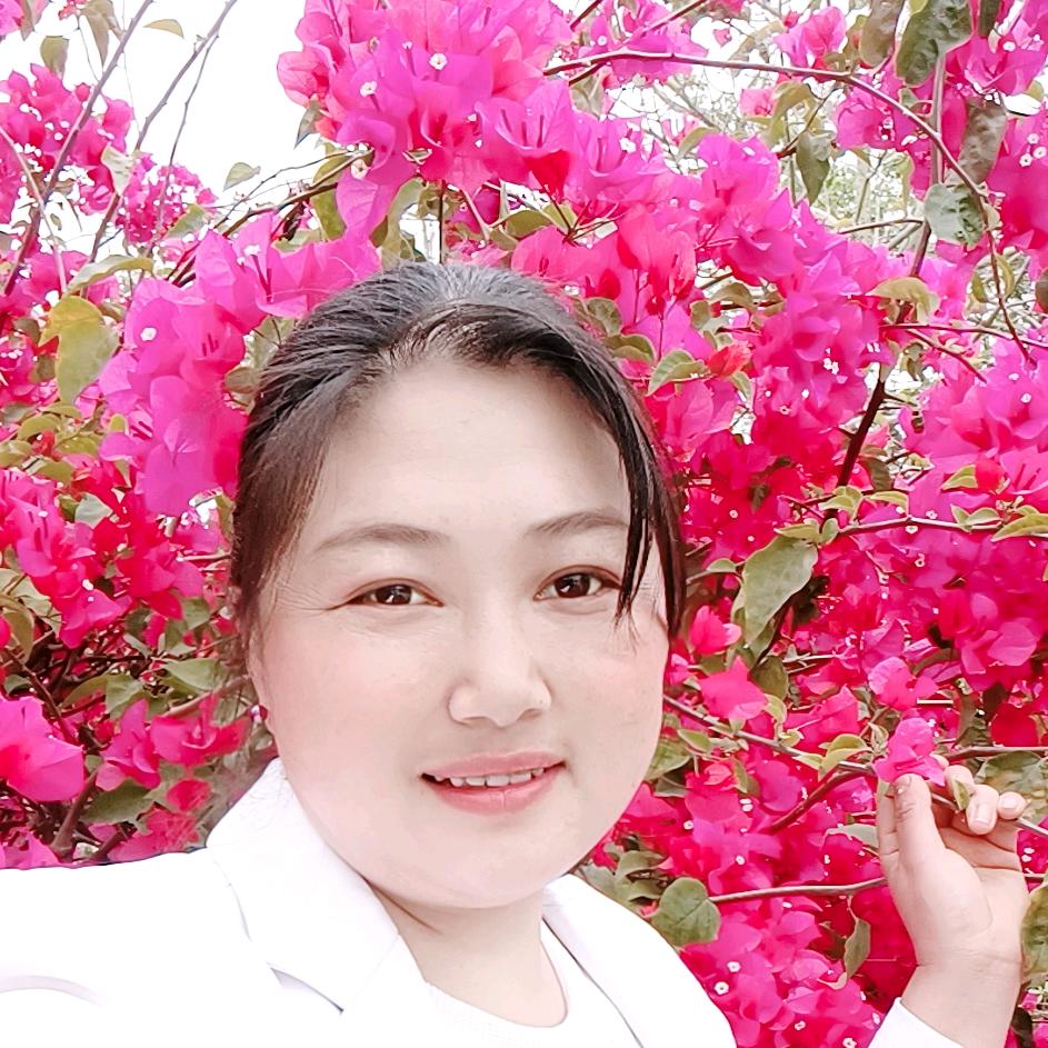 殷景菊四季平安