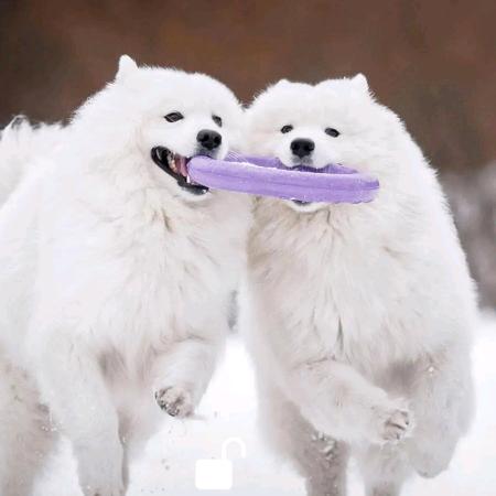 开心