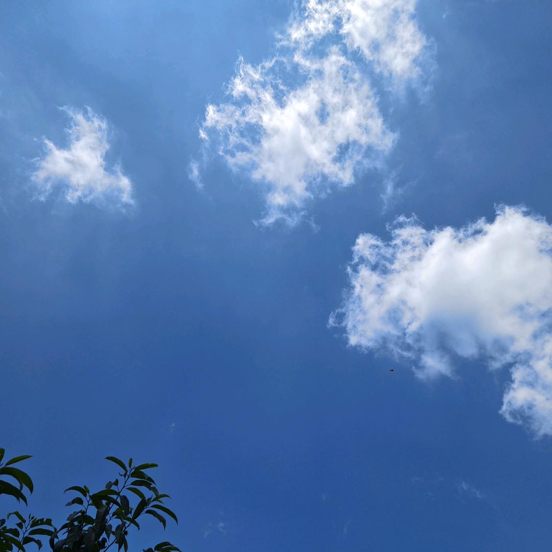 明明