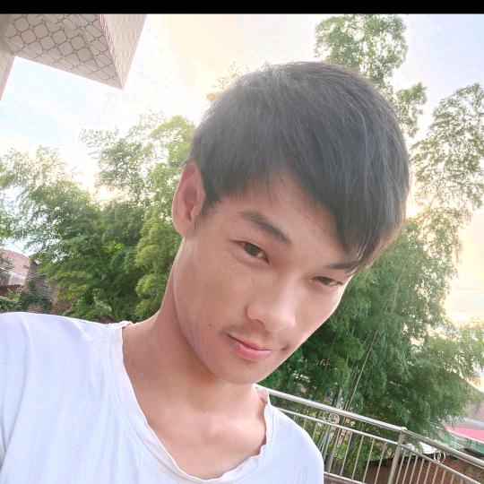 龙小毛