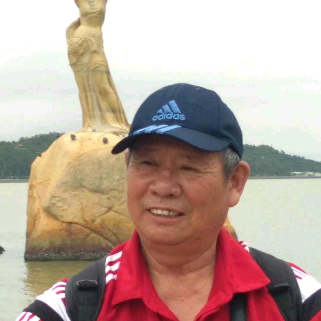 岩老松