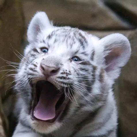 曾永康（南康）