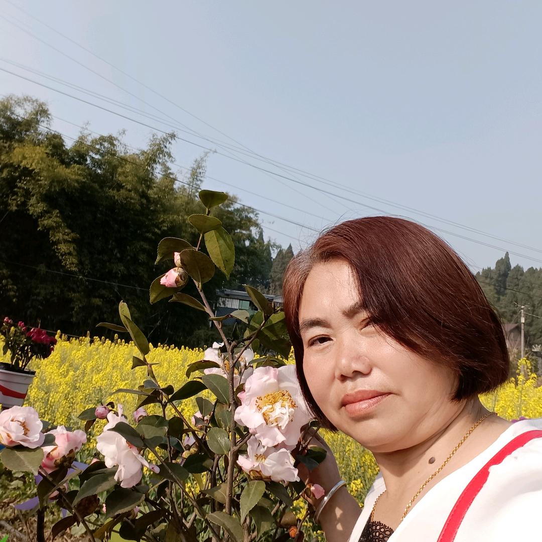 田姐